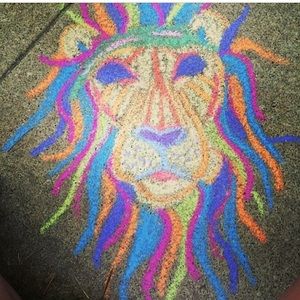 Meet your Posher, Jacey